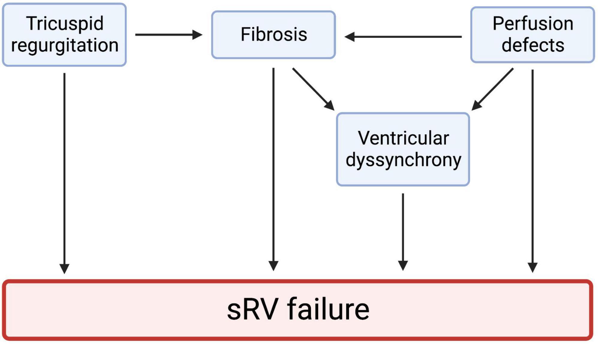 Heart failure in systemic right ventricle: Mechanisms and therapeutic options